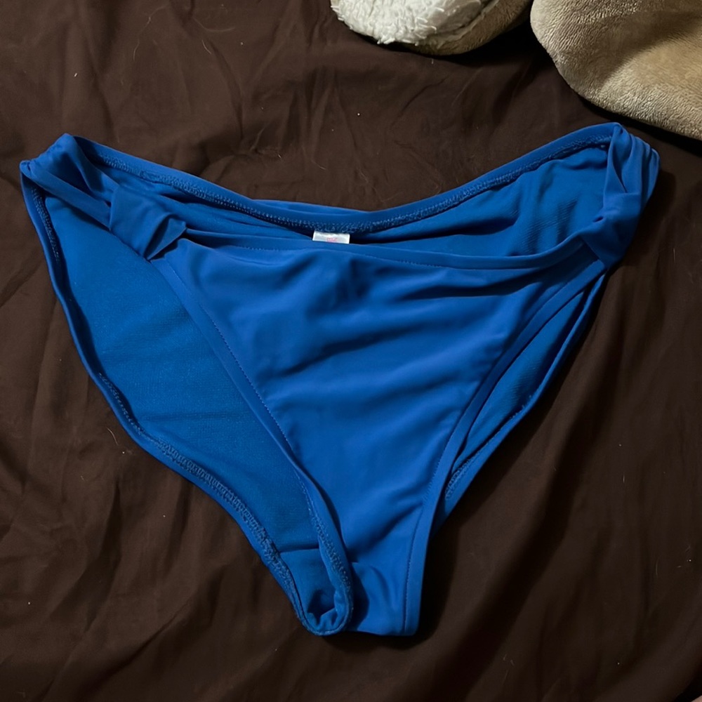 Blue bikini bottoms